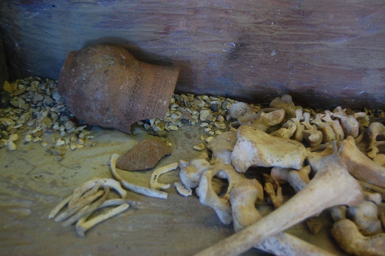 Leominster Museum Herefordshire