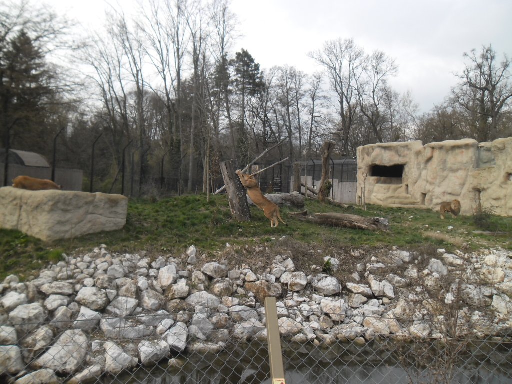 Zagreb Zoo