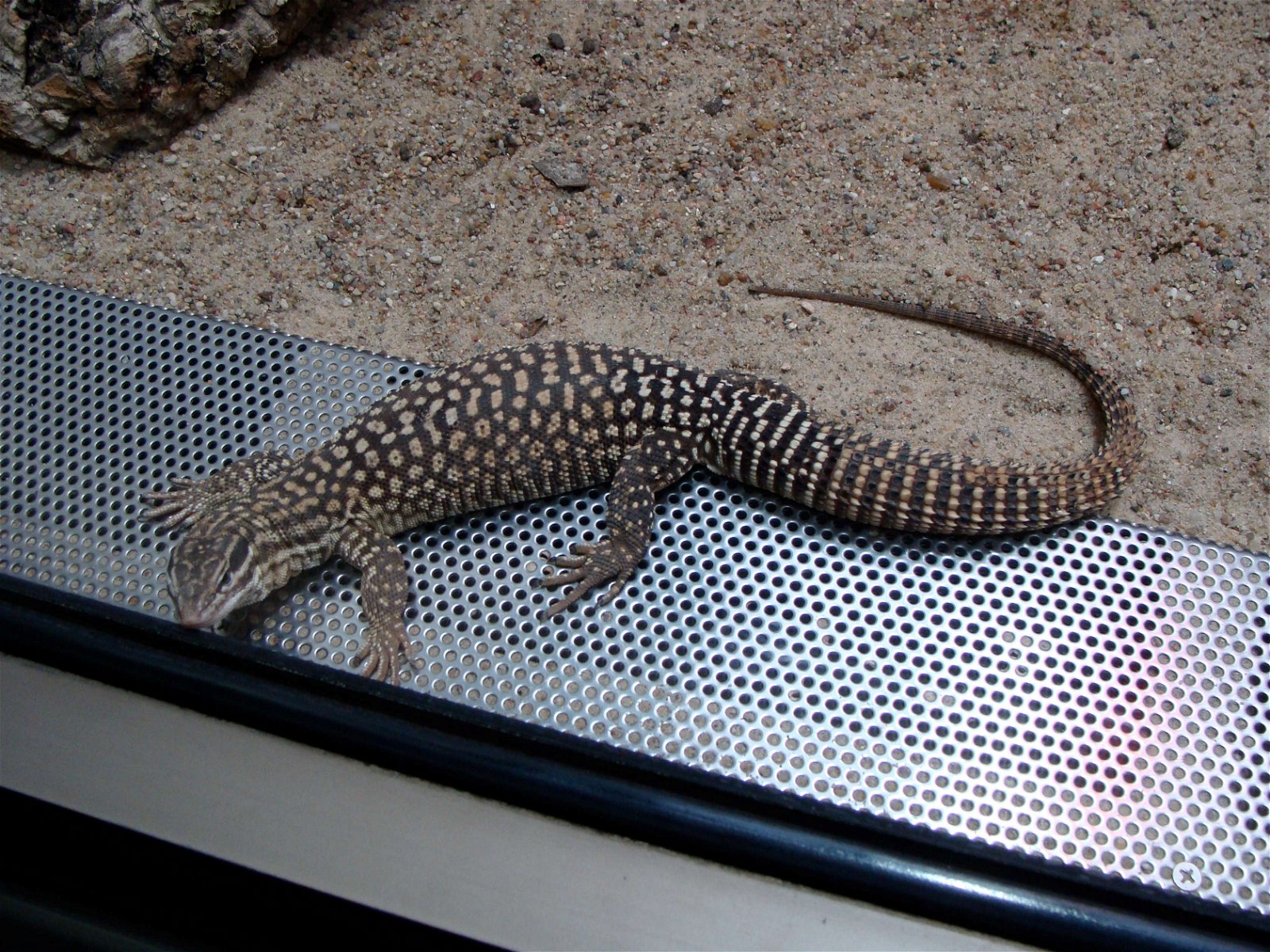 Berlin Zoological Garden