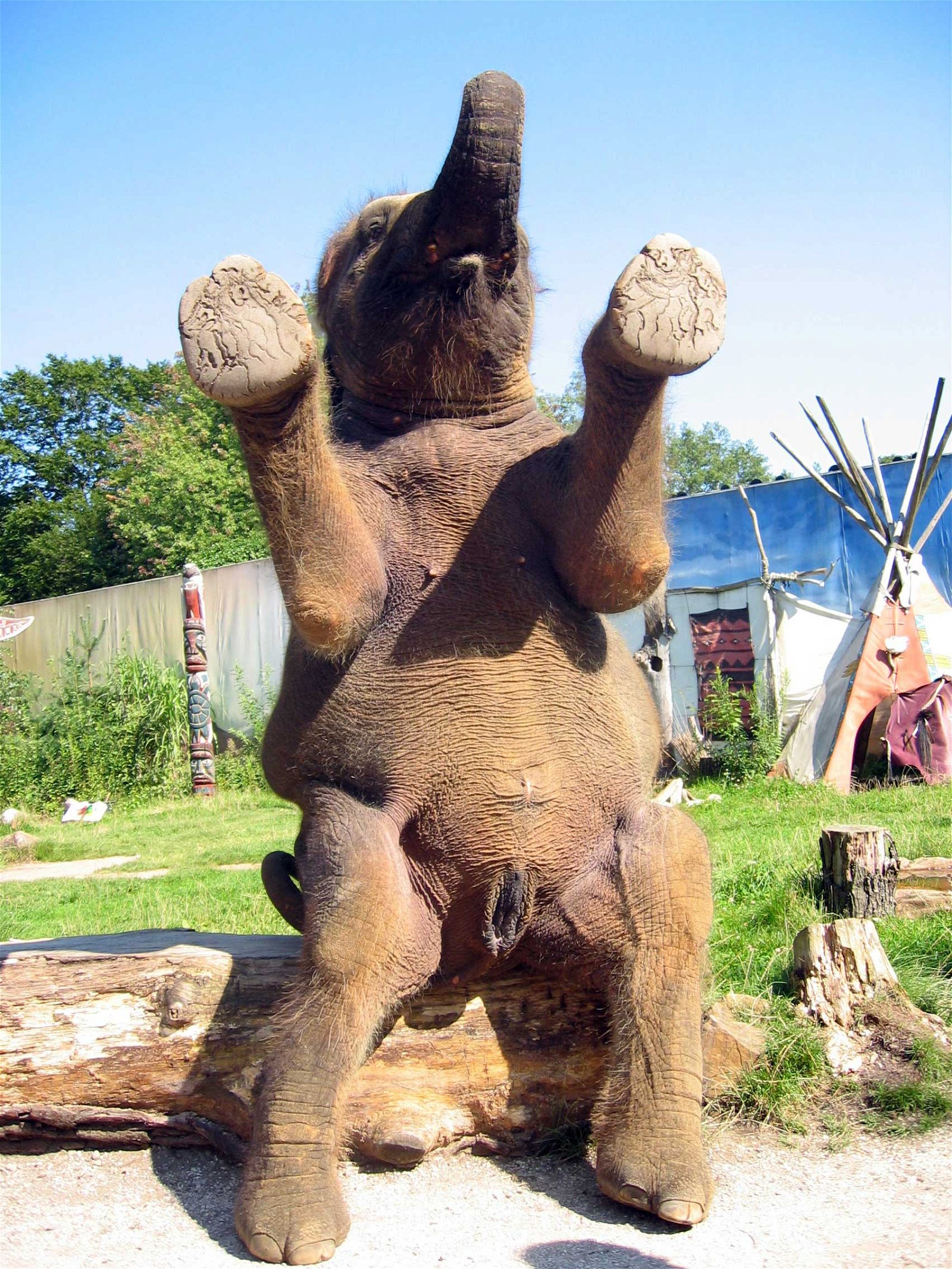 Erlebnis Zoo Hannover