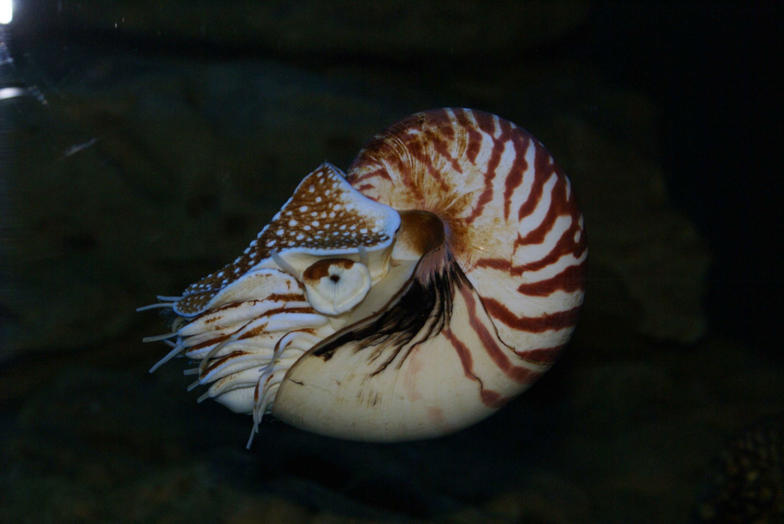 Zoologischer Garten Leipzig