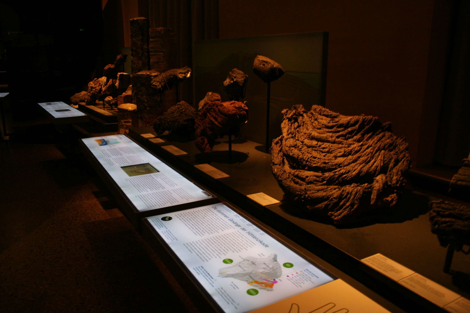 Museum für Naturkunde