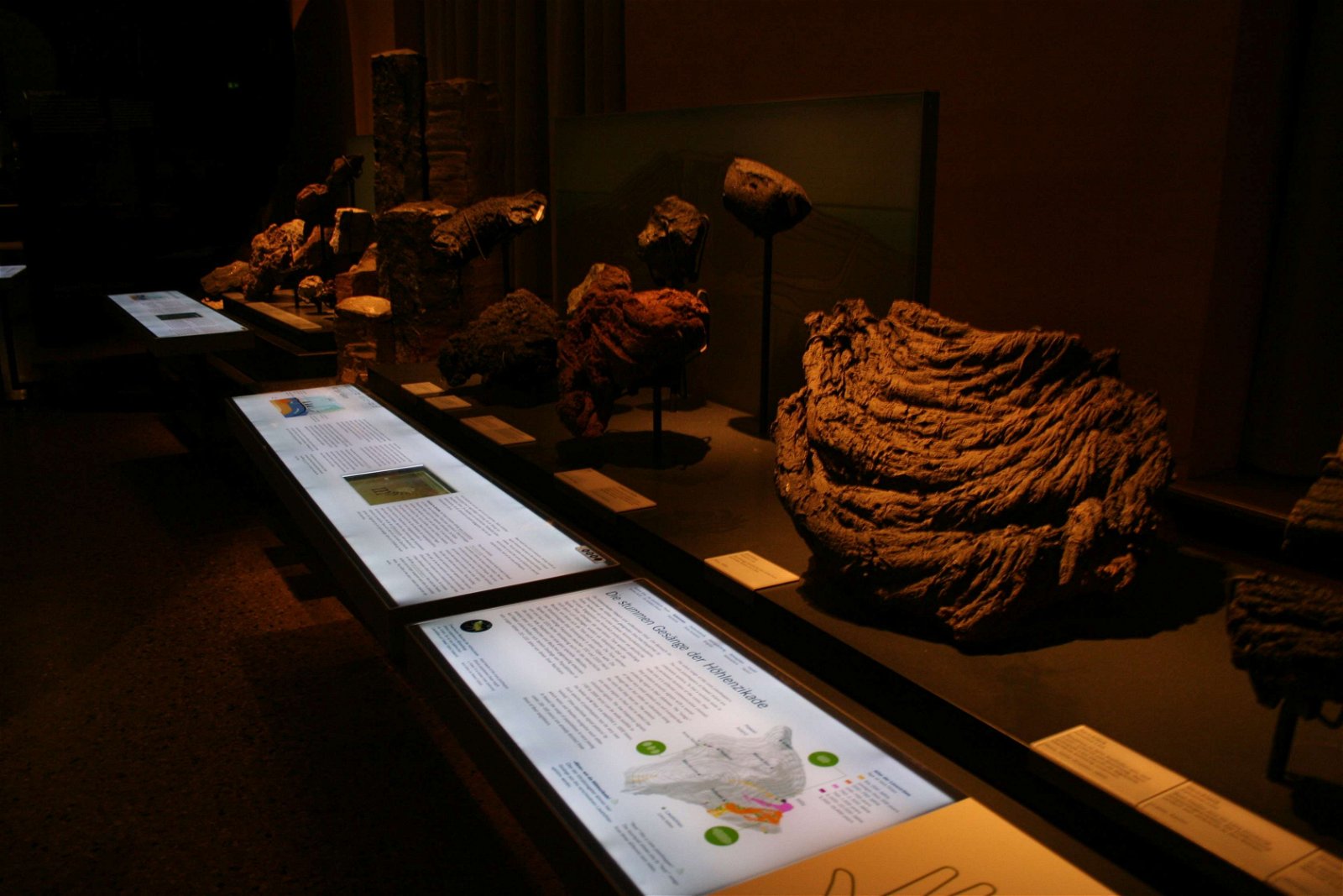 Natural History Museum Berlin