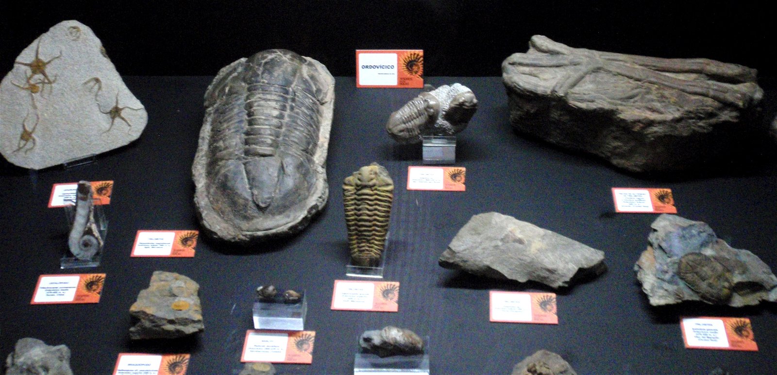 Museo Elder de la Ciencia y la Tecnología