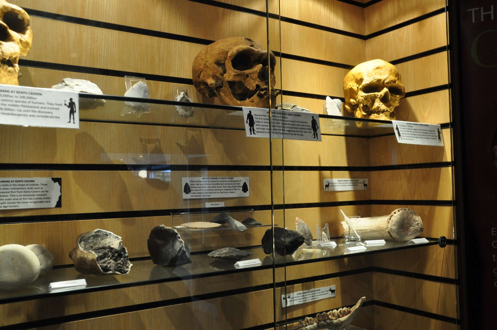 Kents Cavern Prehistoric Caves