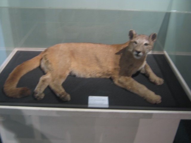 Inverness Museum and Art Gallery - High Life Highland