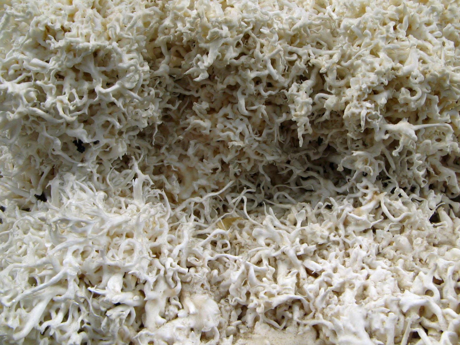 Mineralien-Museum Essen-Kupferdreh