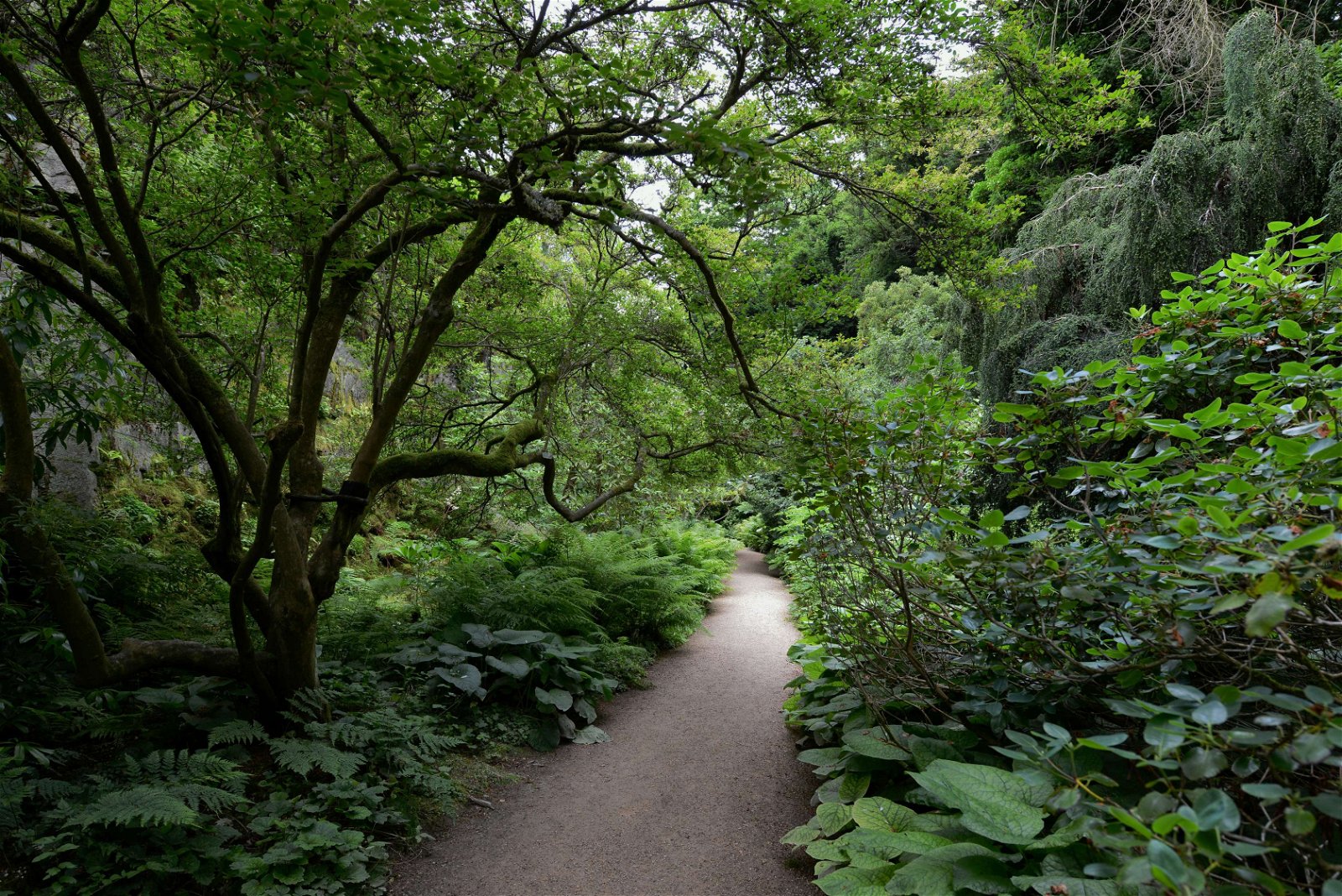 Belsay Hall, Castle and Gardens