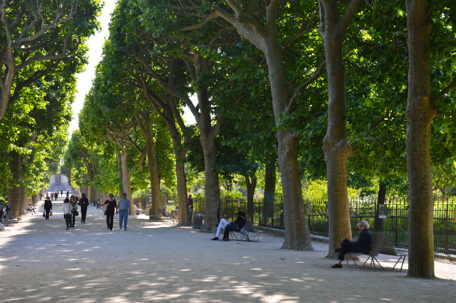 Jardin des Plantes