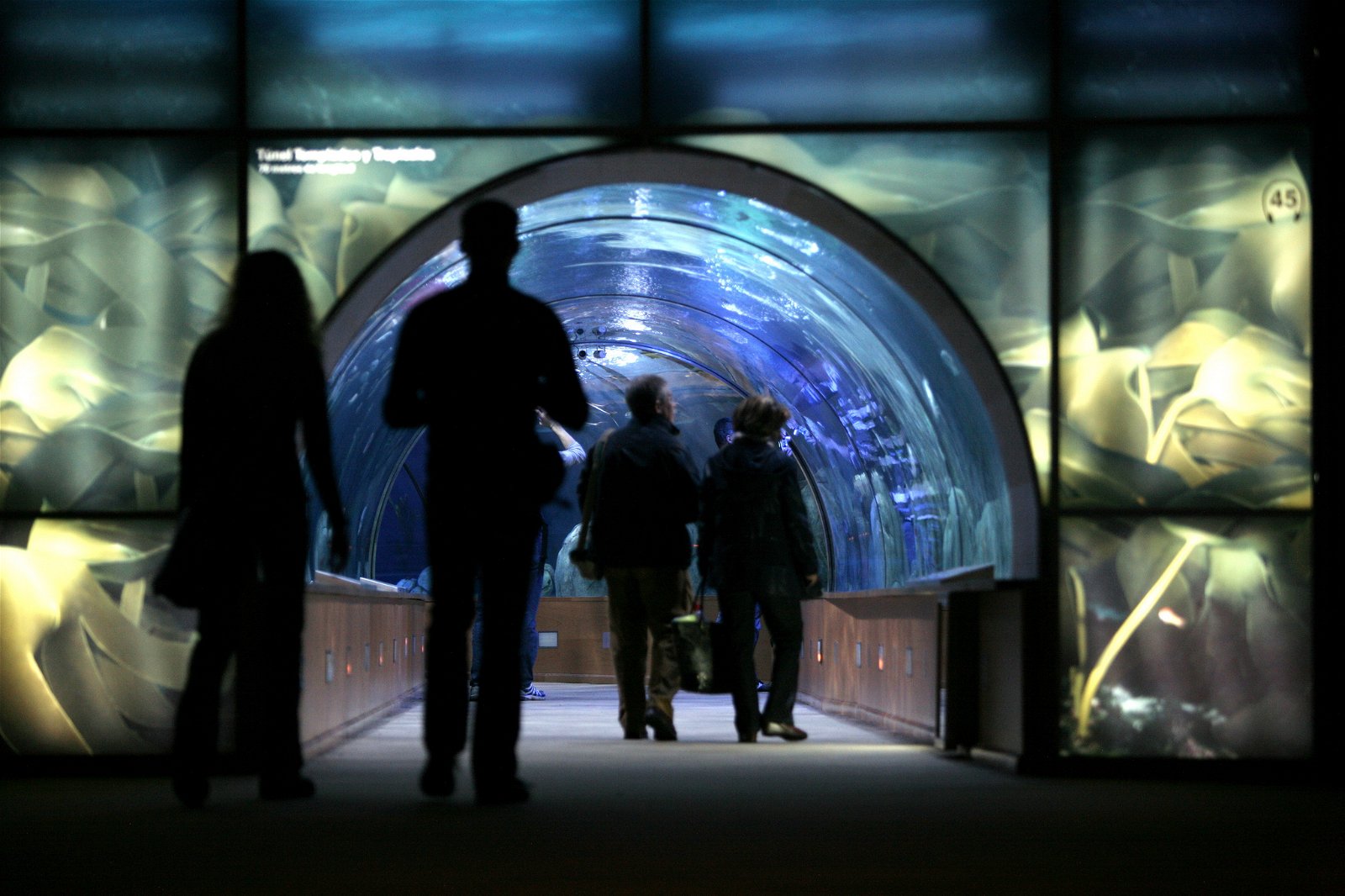 Oceanogràfic of Valencia