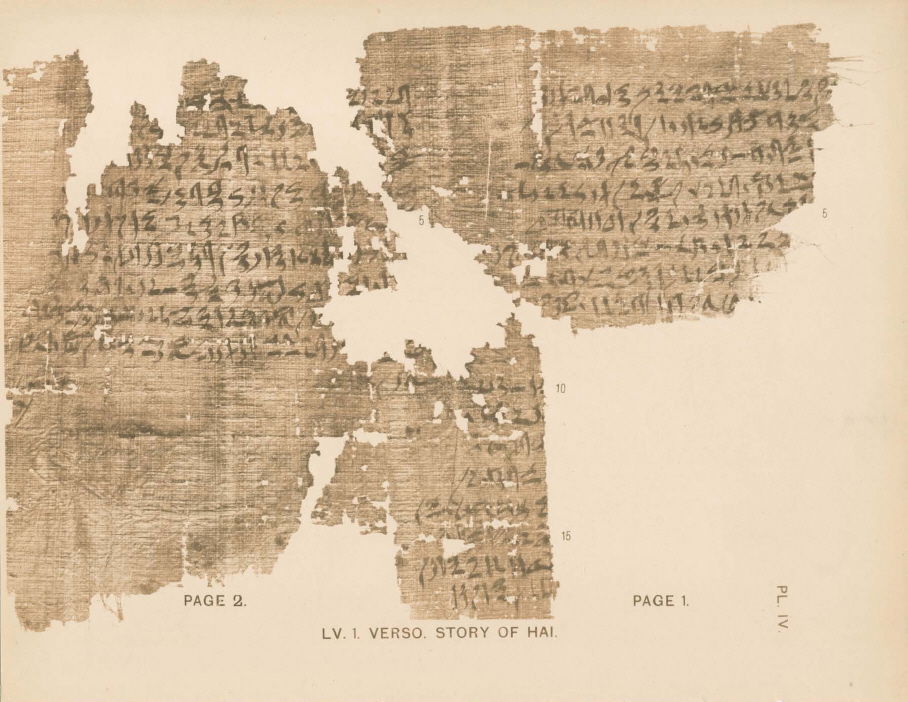 Petrie Museum of Egyptian Archaeology