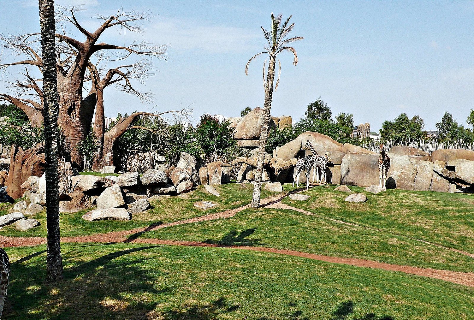 Bioparc Valencia