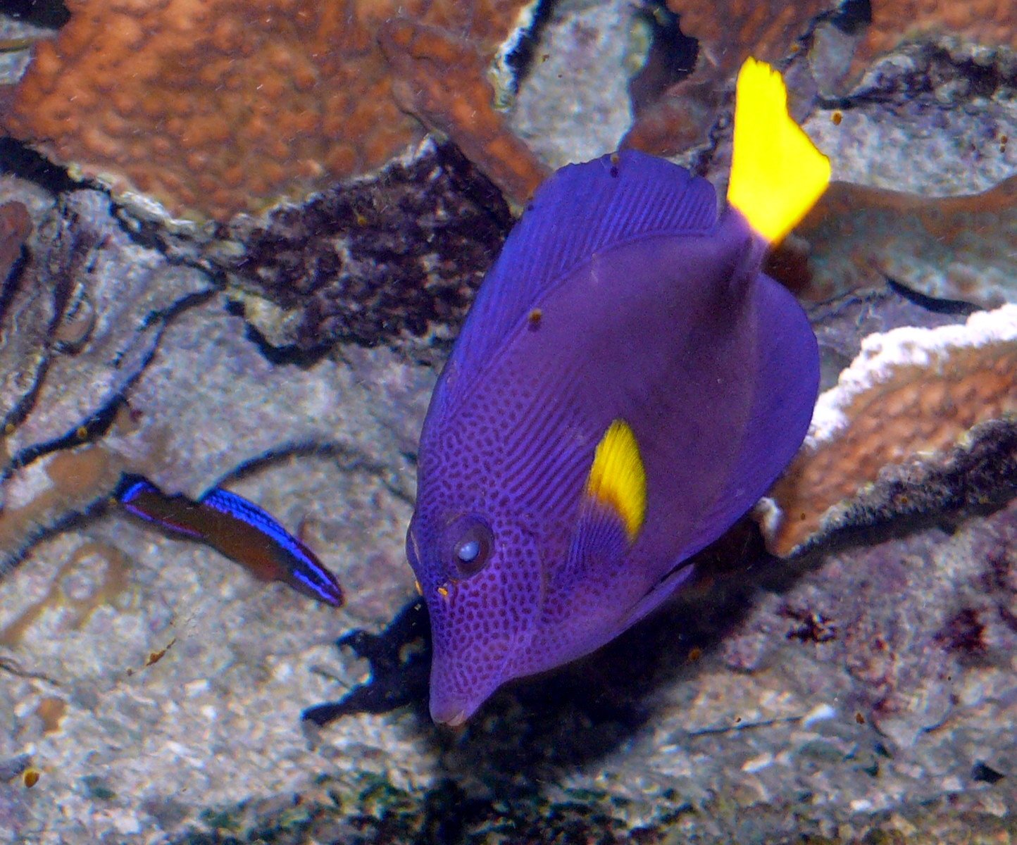 Aquazoo – Löbbecke-Museum Düsseldorf