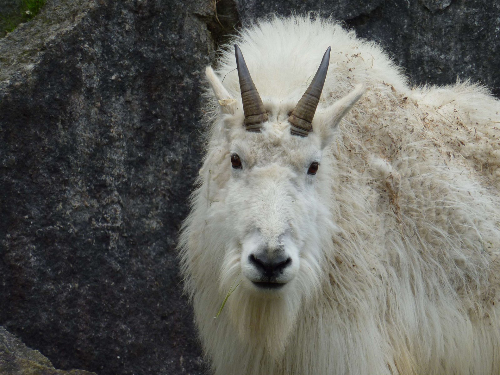 Wilhelma Zoo and Botanical Garden