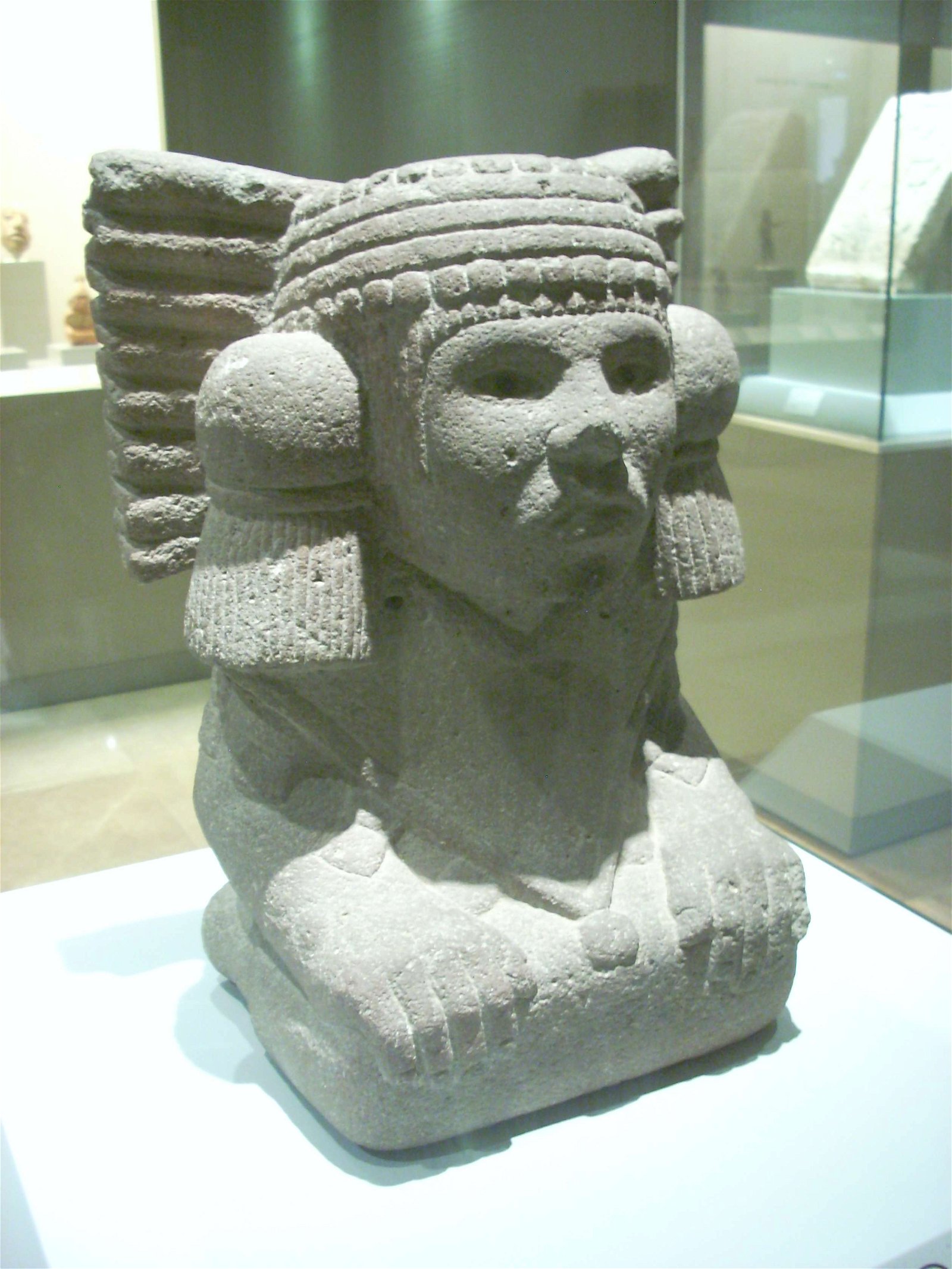 Museum of the Americas