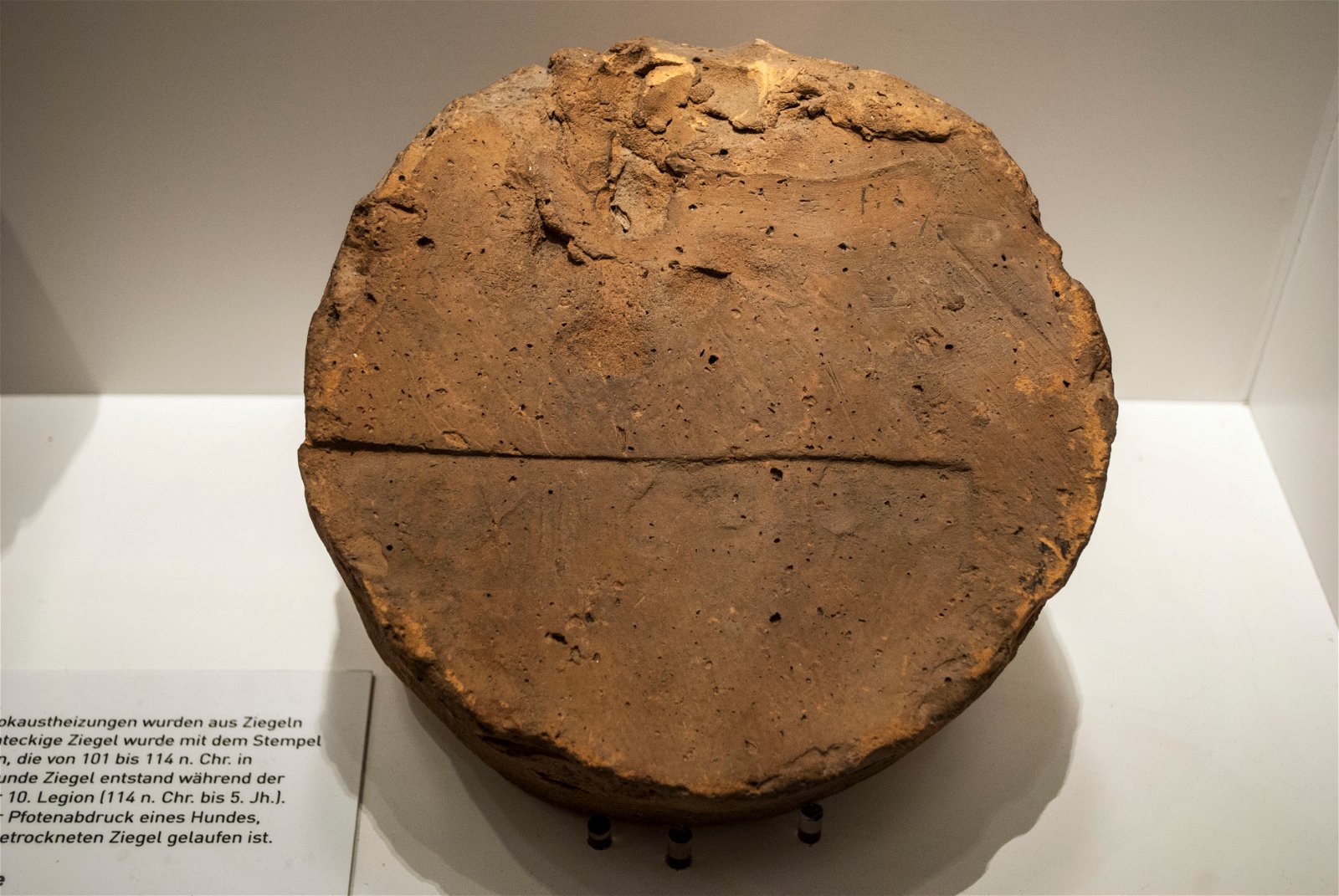 Roman Museum at the Hoher Markt