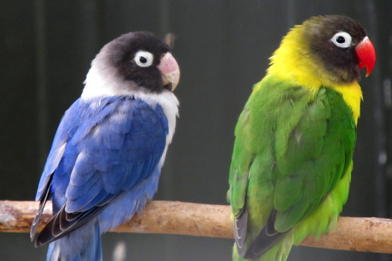 Familiepark Harry Malter