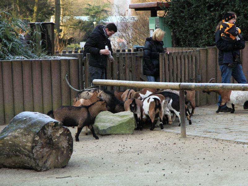 Dortmund Zoo