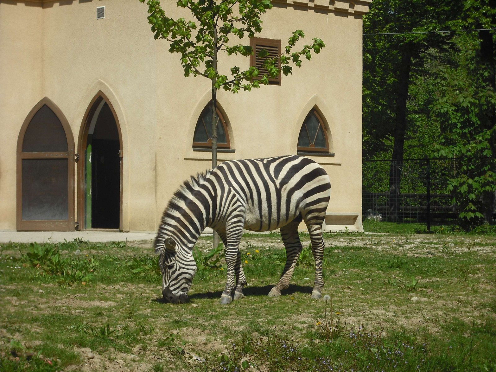 Zagreb Zoo
