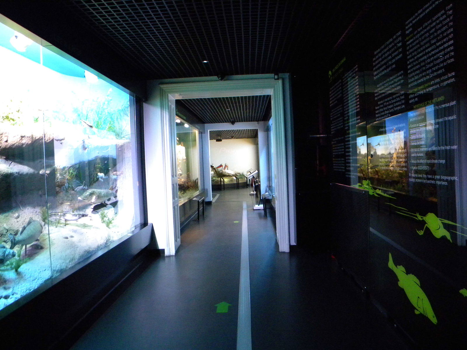 Grigore Antipa National Museum of Natural History