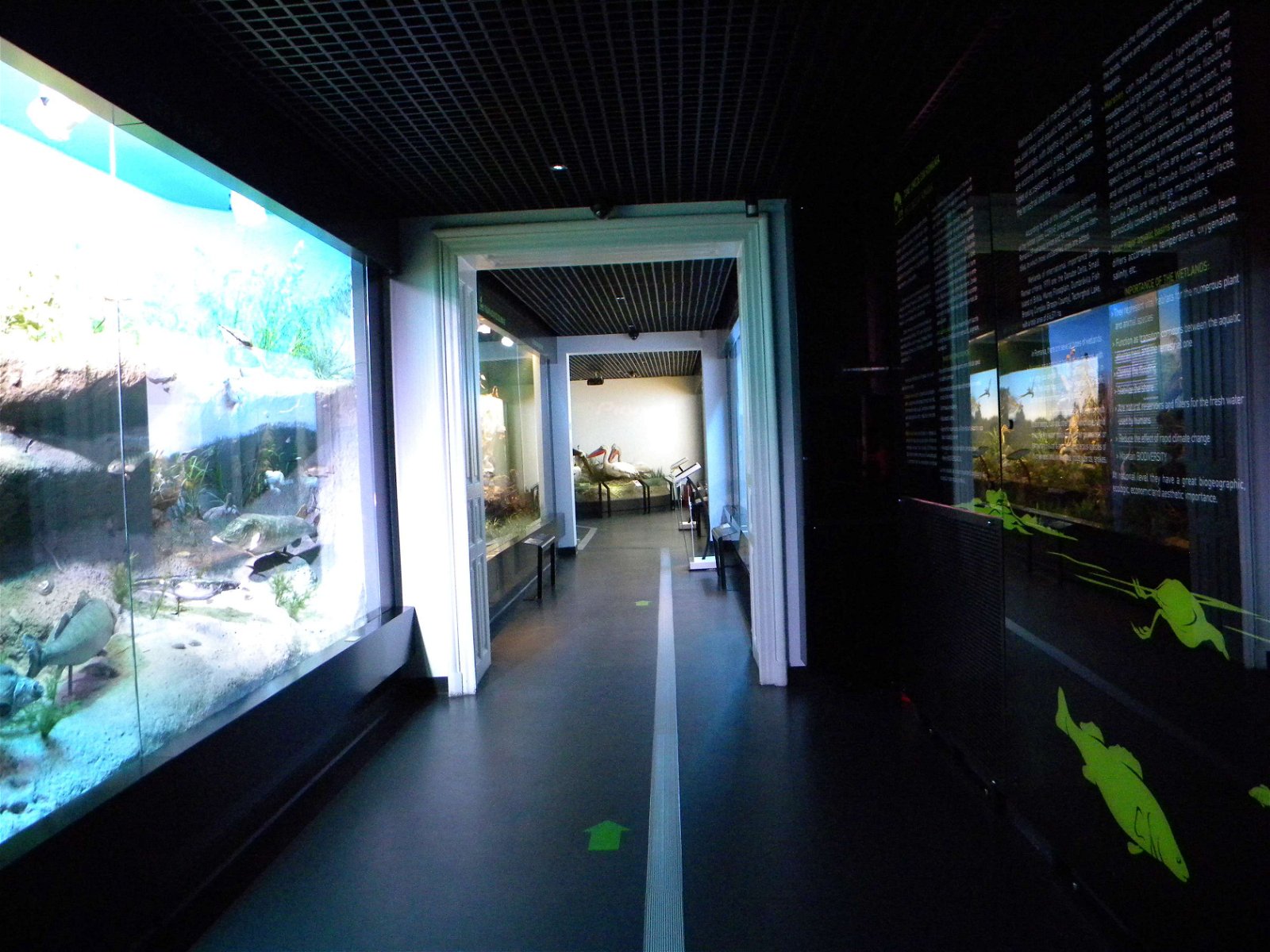 Grigore Antipa National Museum of Natural History