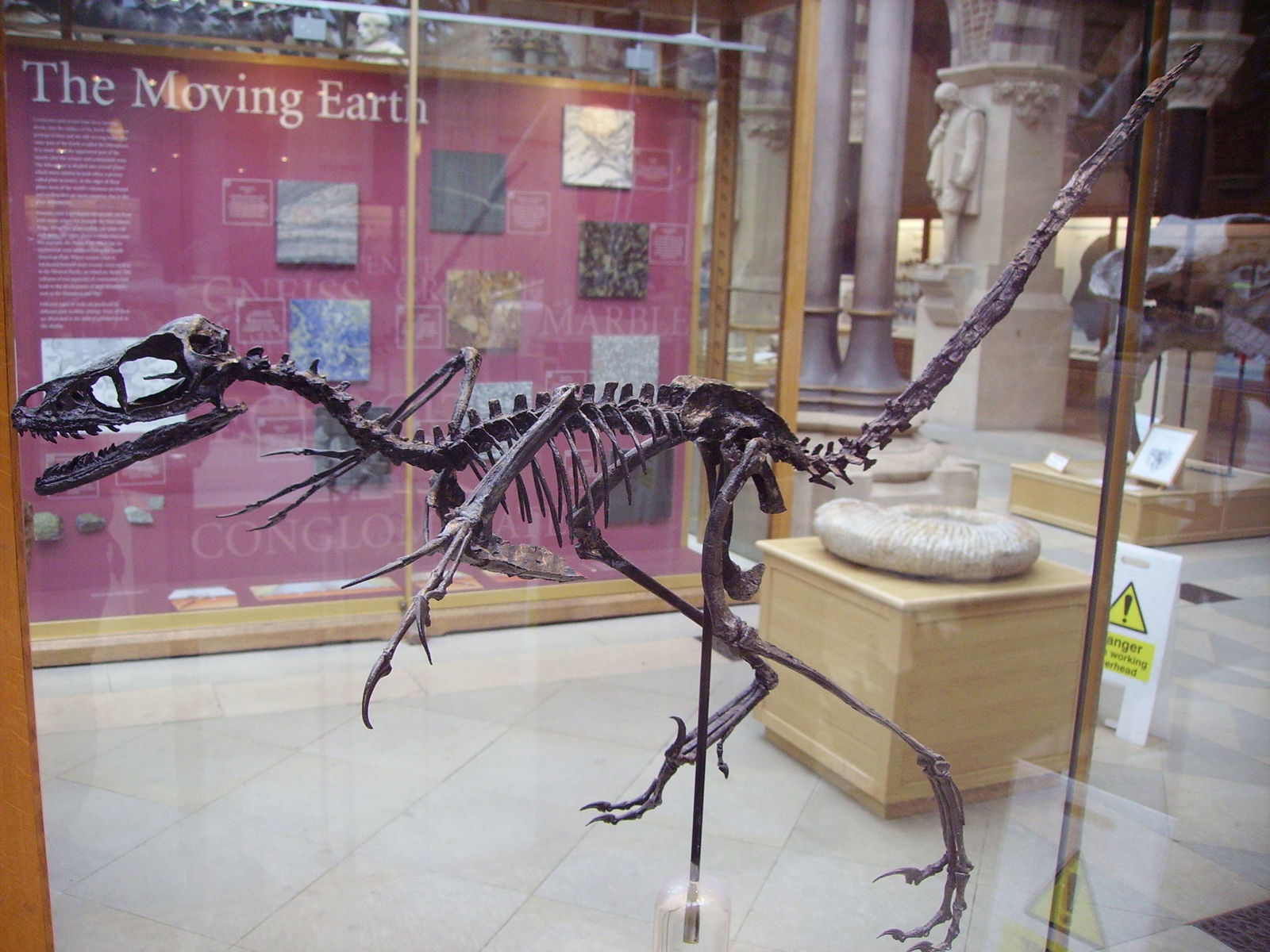 Museo de Historia Natural de la Universidad de Oxford