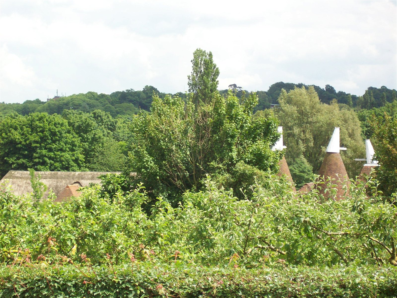 Kent Life Heritage Farm Park