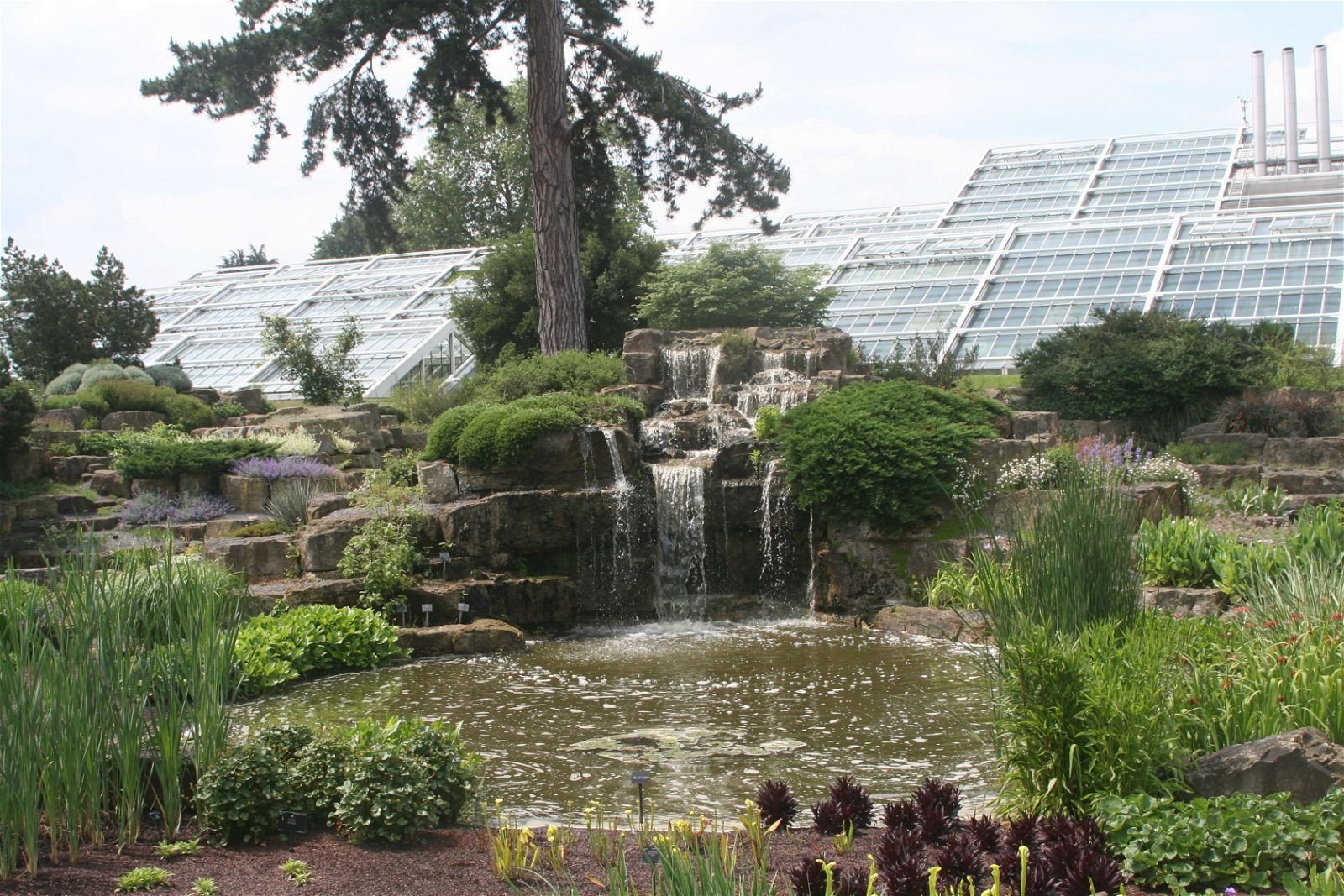Royal Botanic Gardens, Kew
