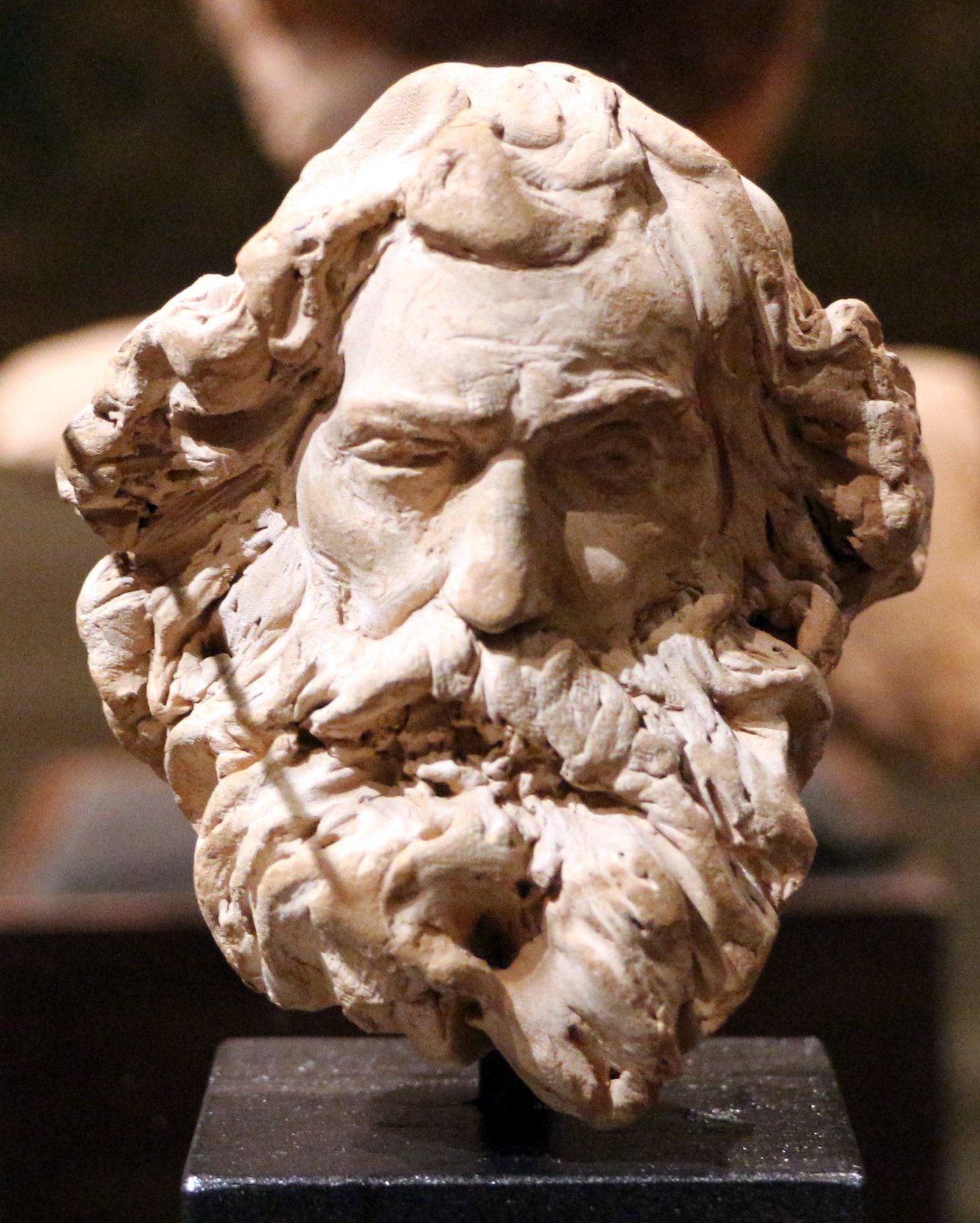 Gallerie di Palazzo Zevallos Stigliano