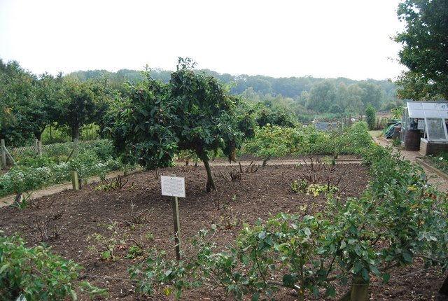 Kent Life Heritage Farm Park