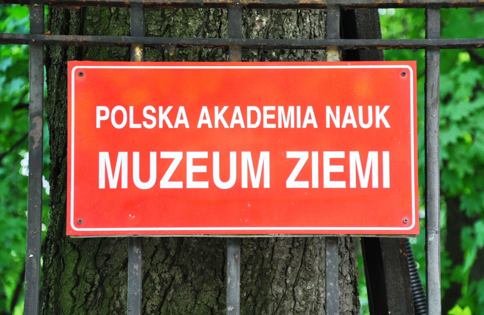 Earth Museum - Polish Academy of Sciences