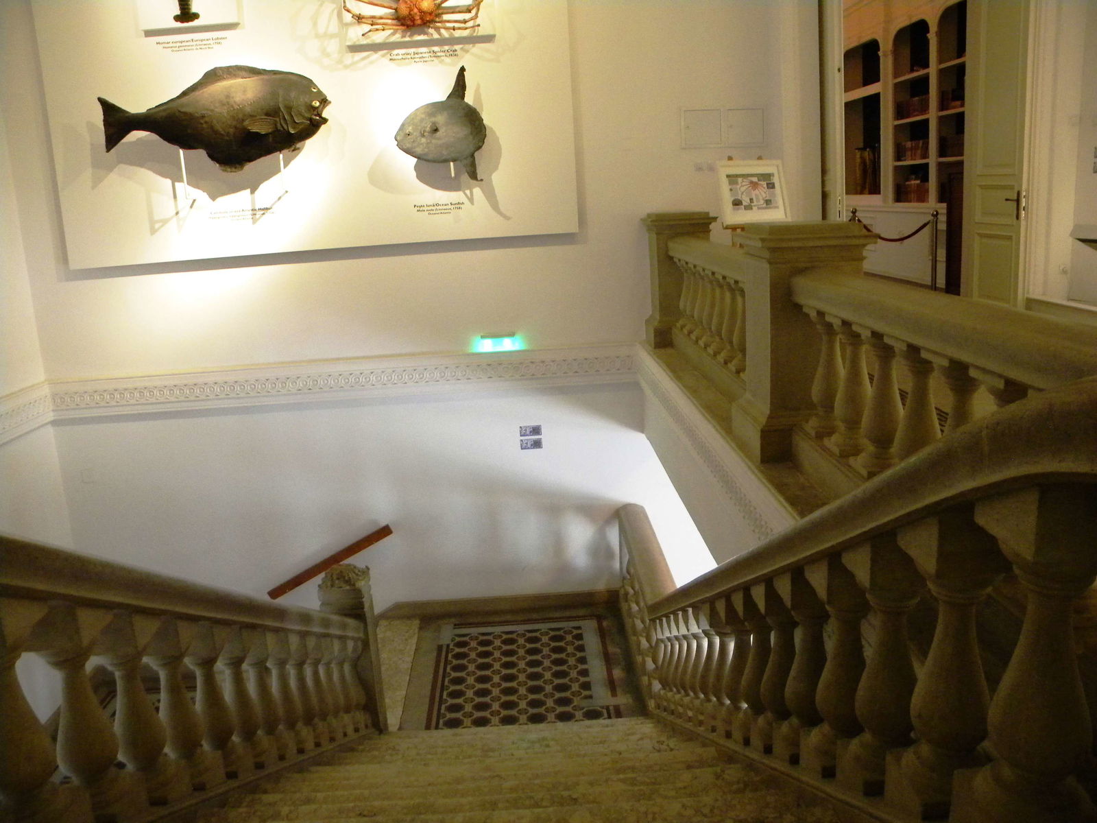 Grigore Antipa National Museum of Natural History