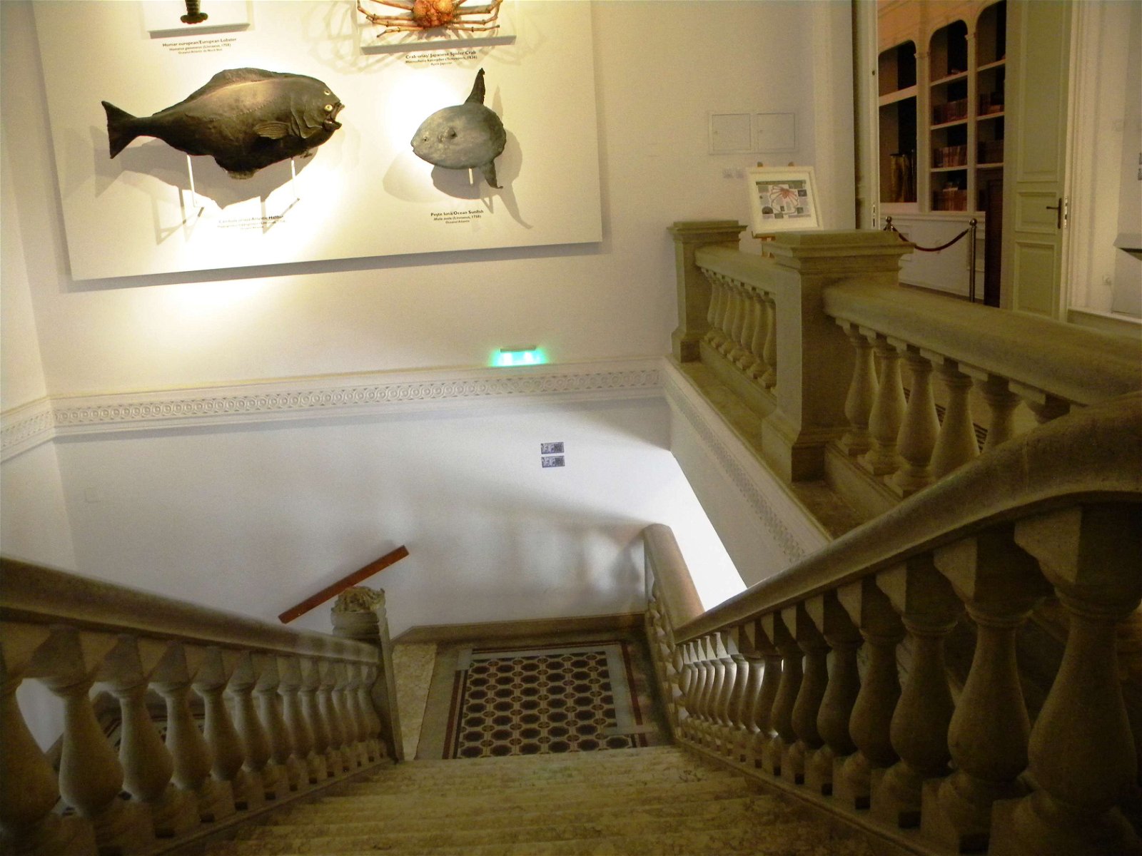 Grigore Antipa National Museum of Natural History