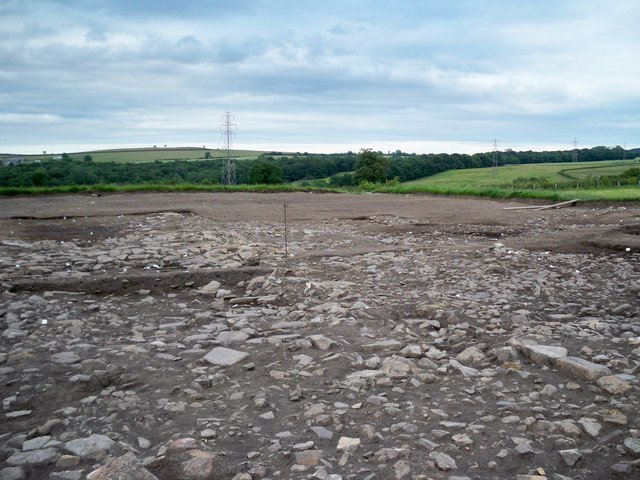 Binchester Roman Fort