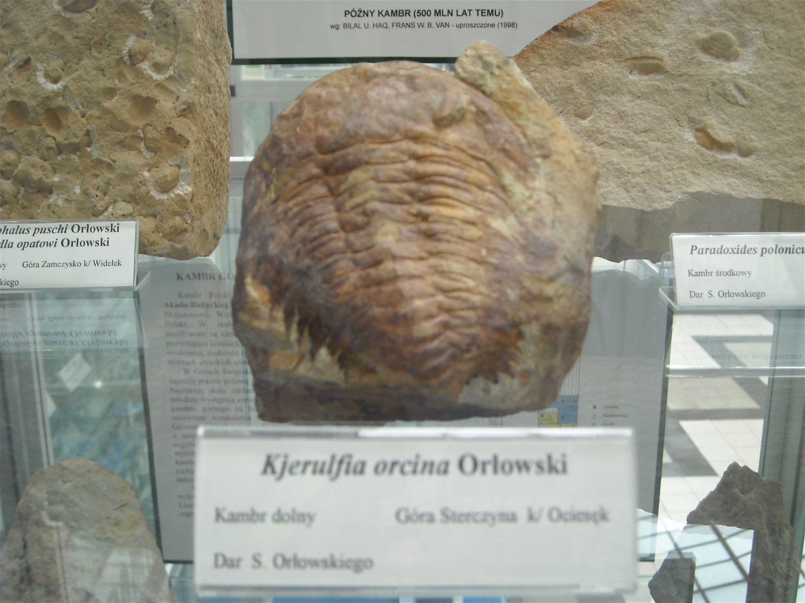 Geological Museum of the Polish Geological Institute