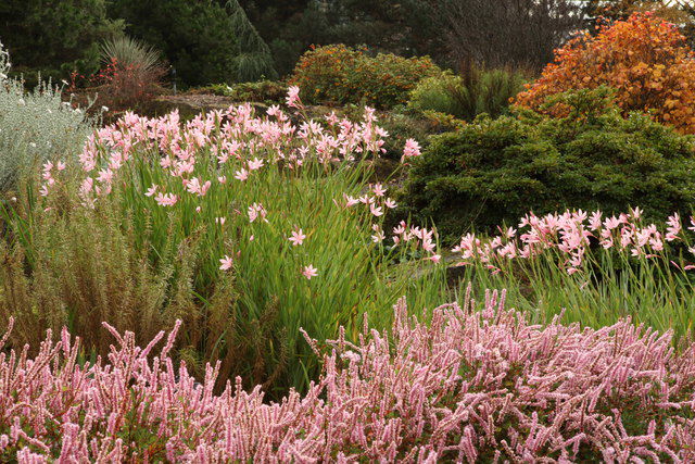 Royal Botanic Garden Edinburgh