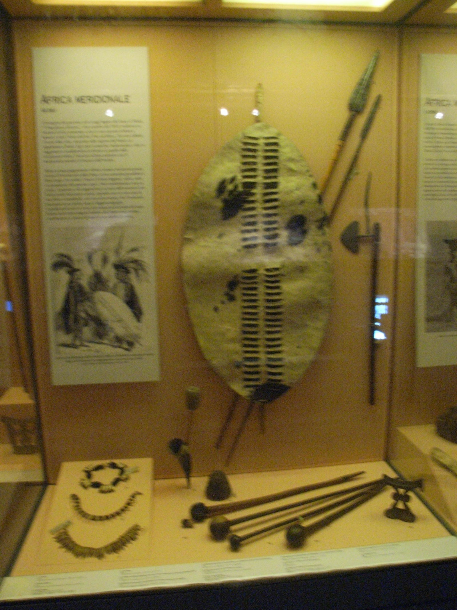 Museo Nazionale Preistorico Etnografico Luigi Pigorini