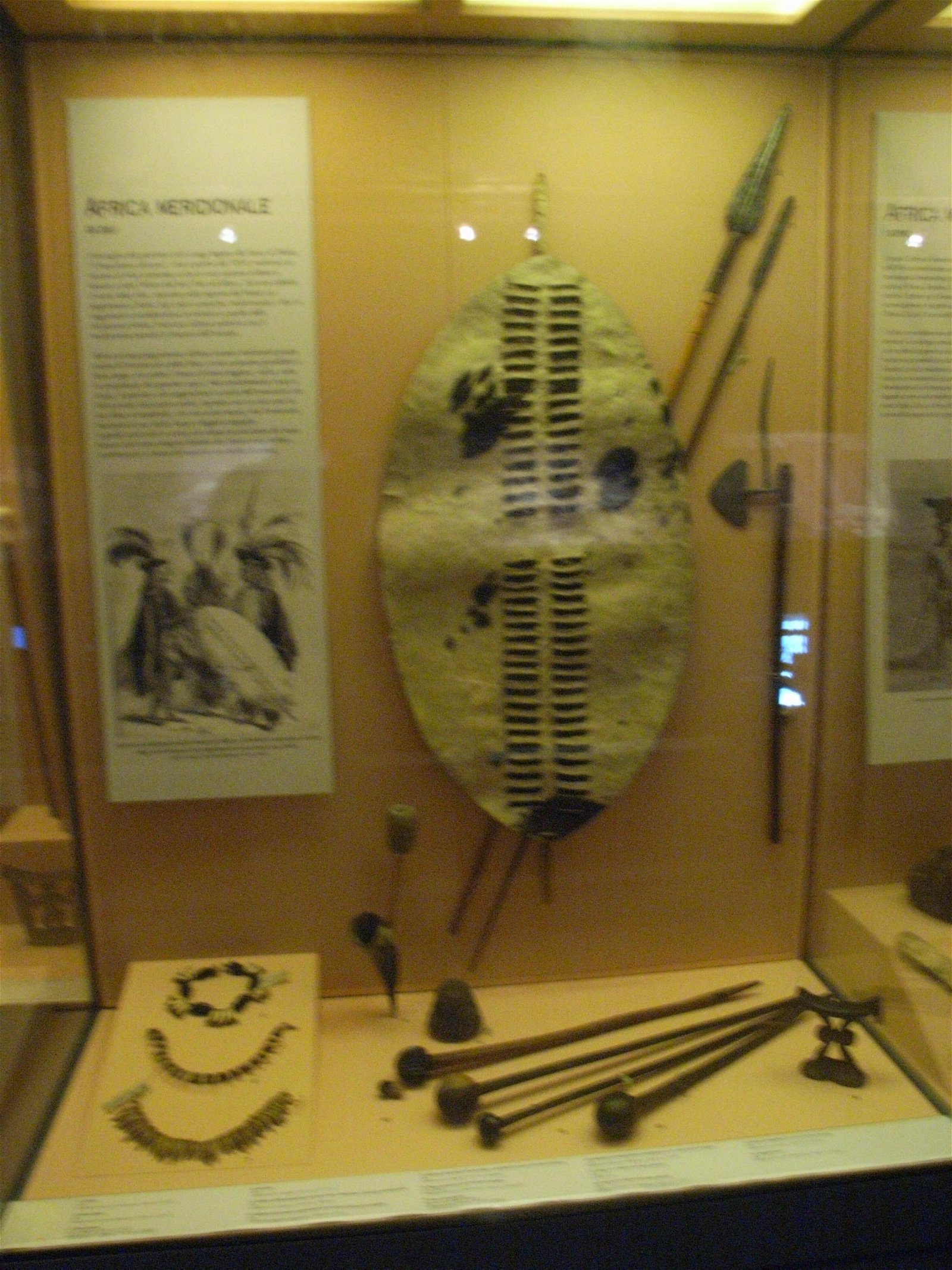 Pigorini National Museum of Prehistory and Ethnography