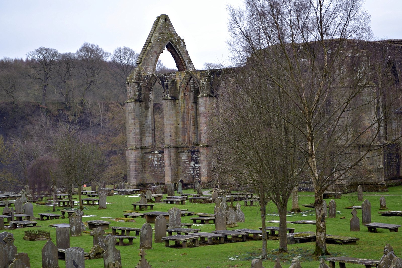 Bolton Abbey