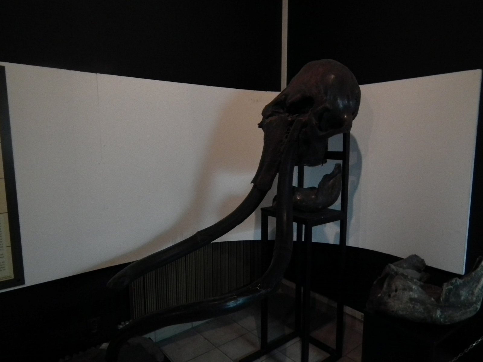 Aquarium and Museum of Natural History in Krakow