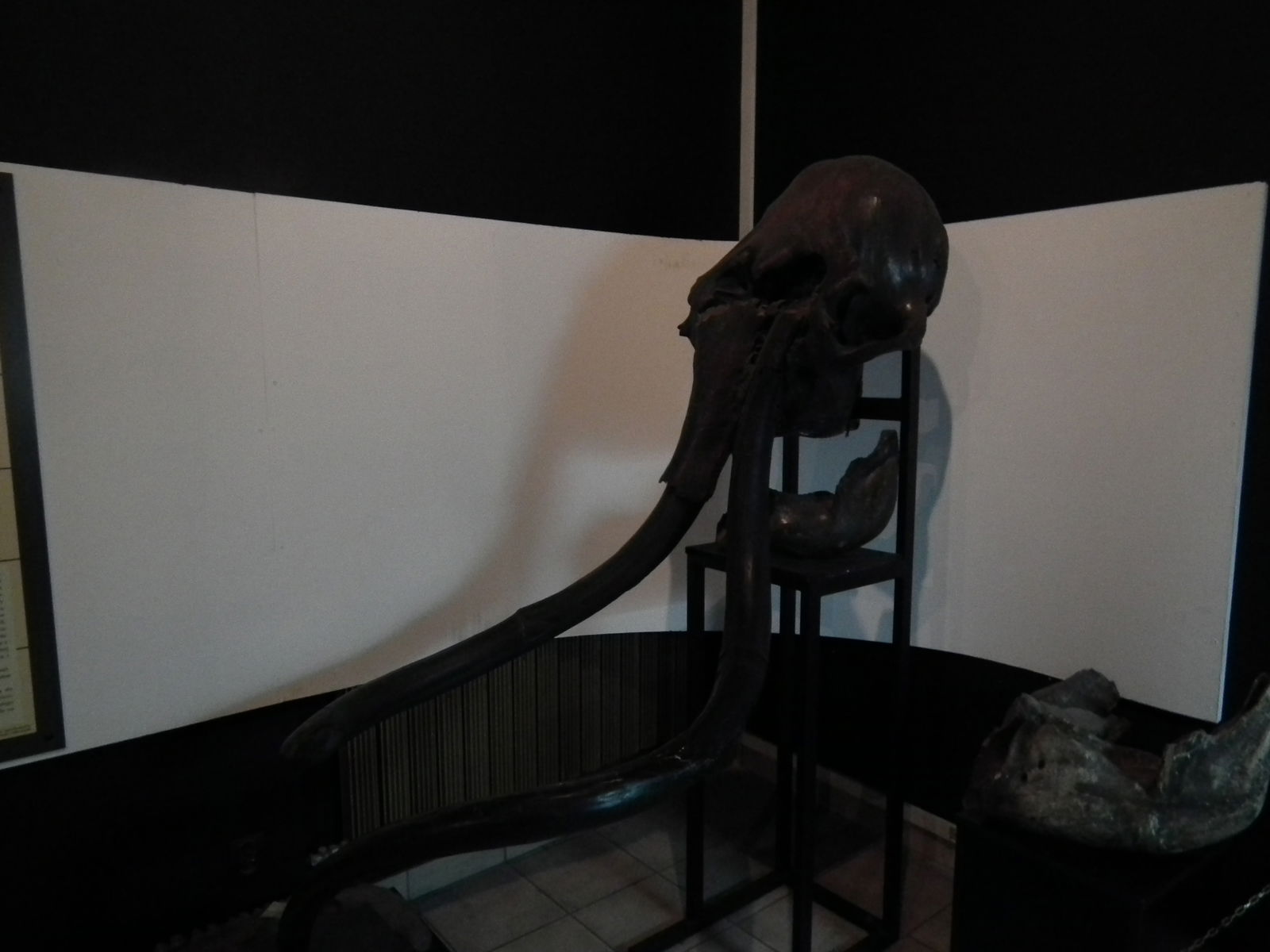 Aquarium and Museum of Natural History in Krakow