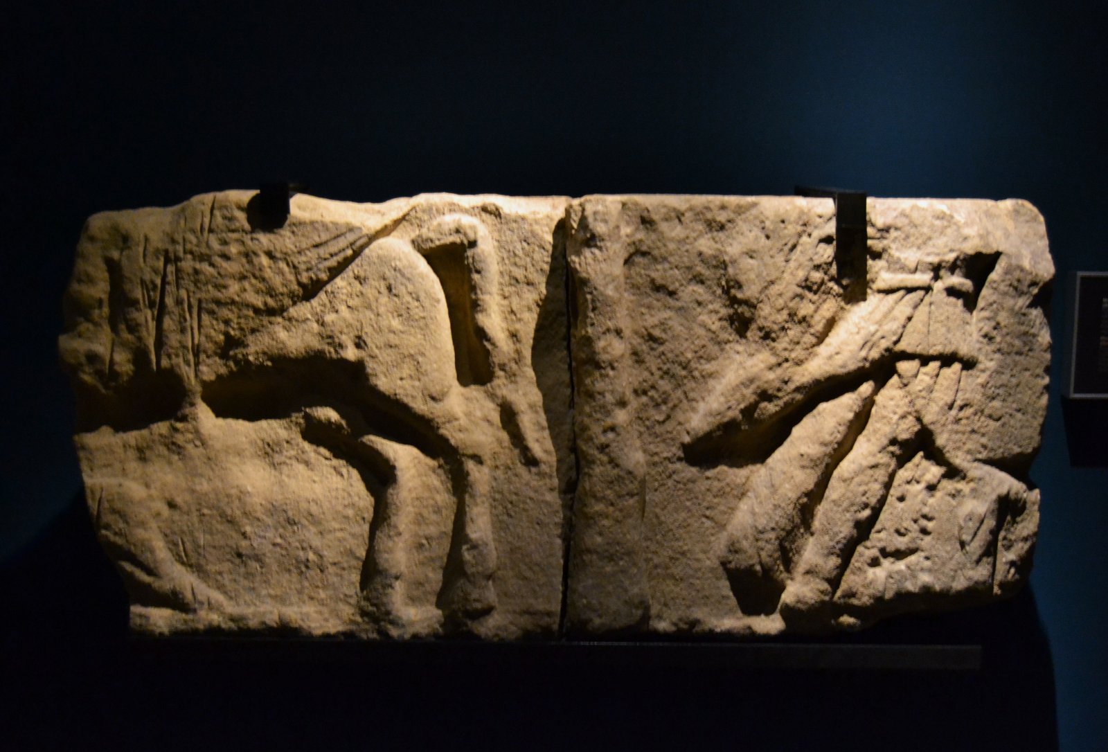 Museo Arqueológico Provincial de Alicante