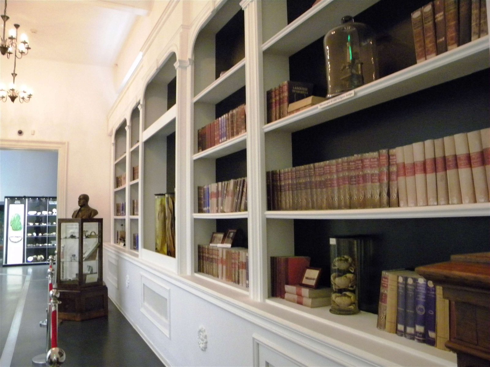 Grigore Antipa National Museum of Natural History