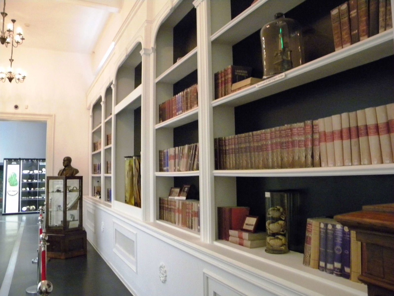 Grigore Antipa National Museum of Natural History