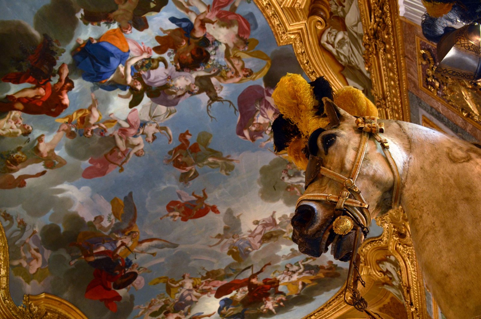 Royal Armoury of Turin