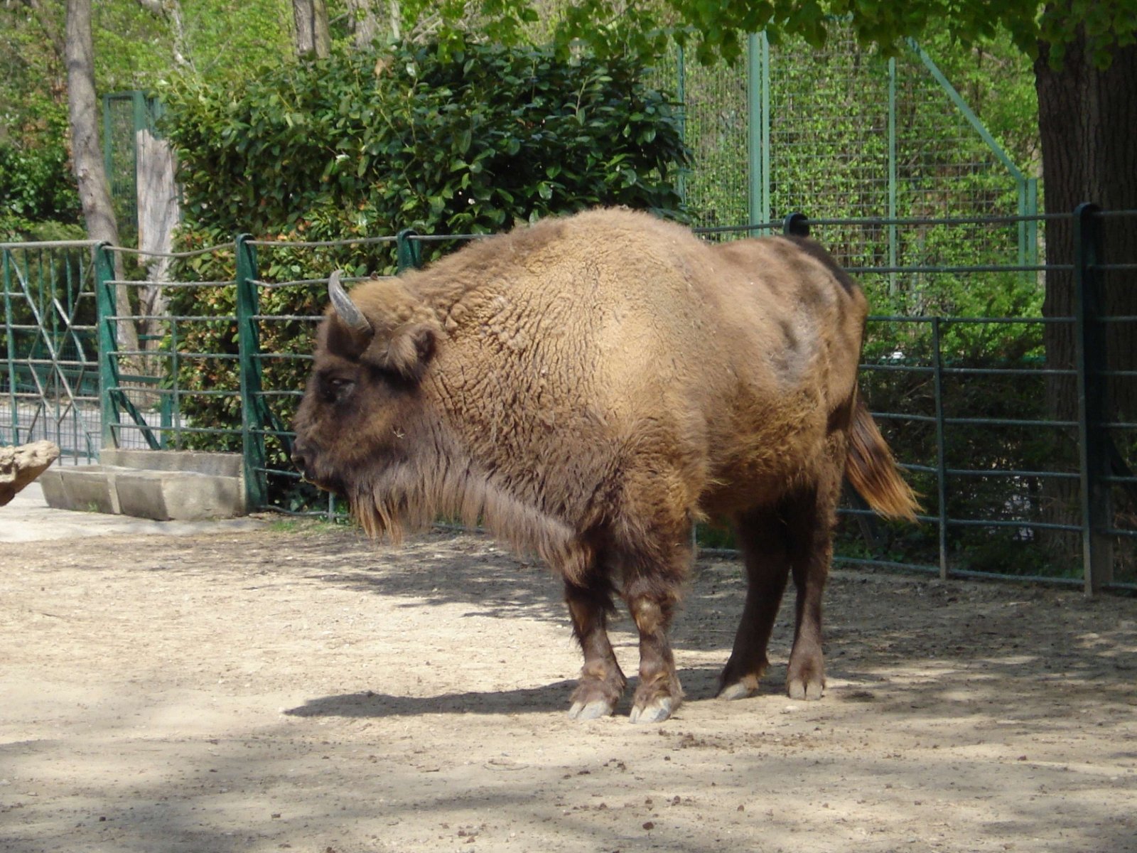 Zagreb Zoo