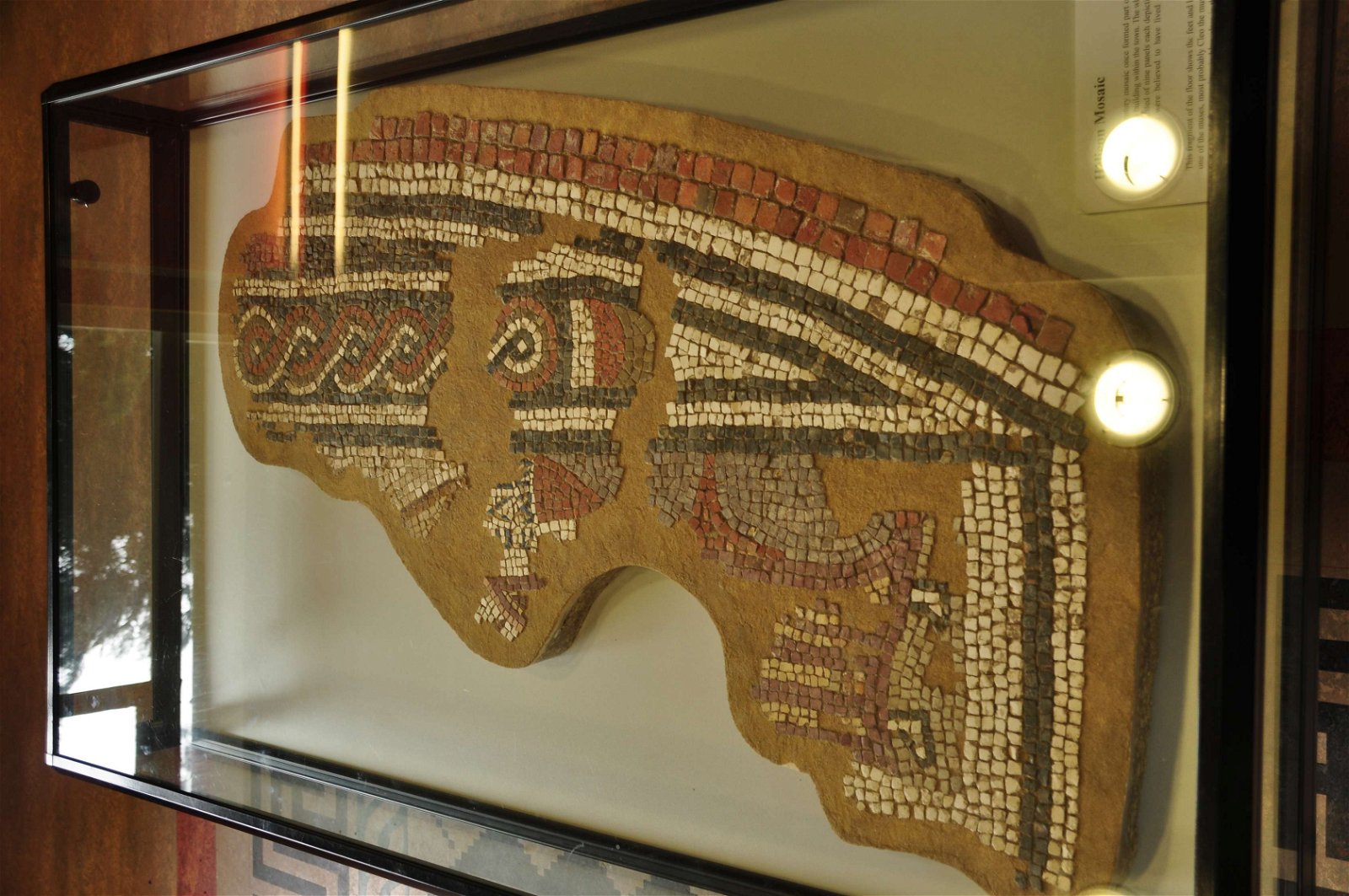 Aldborough Roman Site