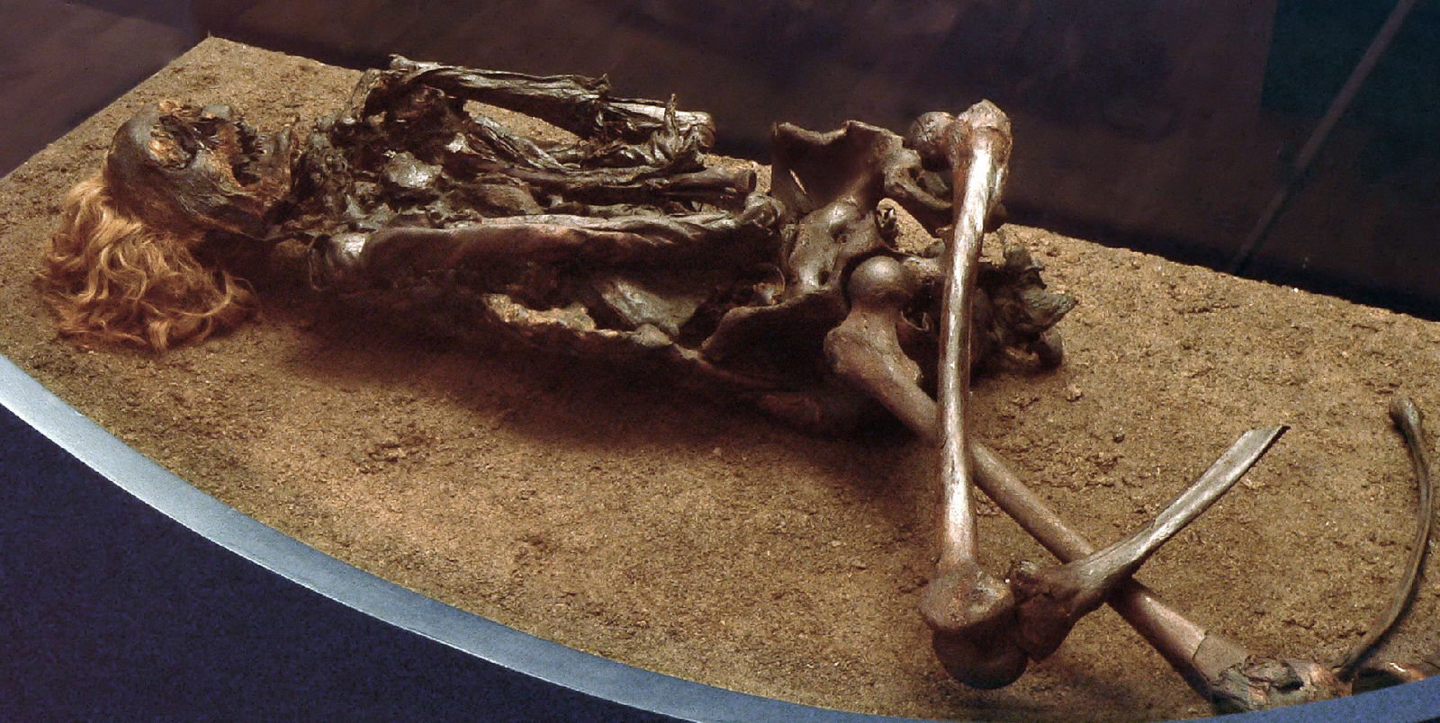 Niedersächsisches Landesmuseum