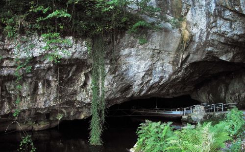 Grotte de Han-sur-Lesse - Domaine des Grottes de Han