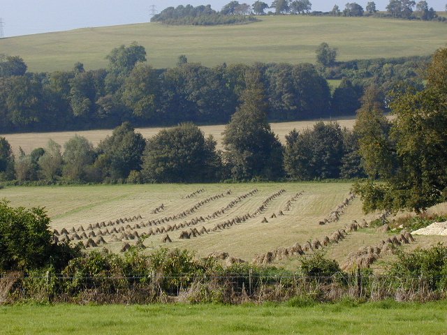 Weald & Downland Open Air Museum